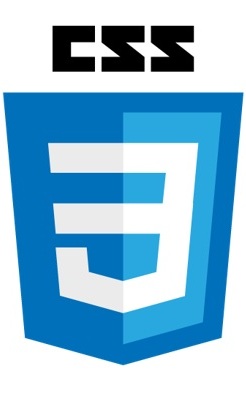 logo_CSS